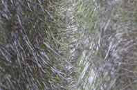 Little Chell fibreglass roof work